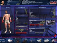 Cкриншот Бокс. Короли ринга, изображение № 463119 - RAWG