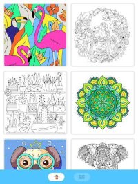 Cкриншот Paint.ly Color by Number - Fun Coloring Art Book, изображение № 1797803 - RAWG