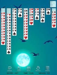 Cкриншот Spider Solitaire Pro!, изображение № 904104 - RAWG