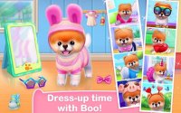 Cкриншот Boo - The World's Cutest Dog, изображение № 1540016 - RAWG