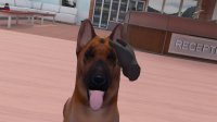 Cкриншот VetVR Veterinary Simulator, изображение № 3521576 - RAWG