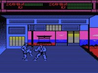 Cкриншот Budokan: The Martial Spirit (1991), изображение № 747731 - RAWG