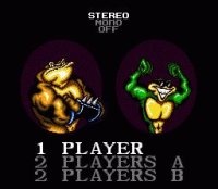 Cкриншот Battletoads in Battlemaniacs, изображение № 761249 - RAWG