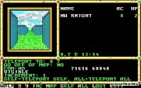 Cкриншот Neverwinter Nights (1991), изображение № 468731 - RAWG