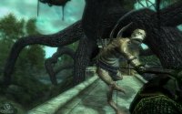 Cкриншот The Elder Scrolls 4: Shivering Isles, изображение № 470400 - RAWG