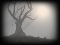 Cкриншот Slender Rising, изображение № 908907 - RAWG