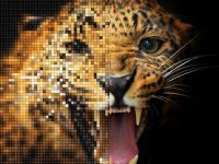 Cкриншот Cross Stitch, изображение № 1565385 - RAWG