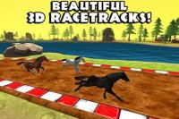 Cкриншот Horse Racing Derby, изображение № 1561814 - RAWG