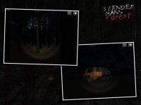 Cкриншот SlenderMan's Forest, изображение № 909059 - RAWG