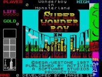 Cкриншот Wonder Boy in Monster Land (1987), изображение № 745616 - RAWG