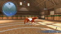 Cкриншот My Riding Stables: Life with Horses 2, изображение № 1609171 - RAWG