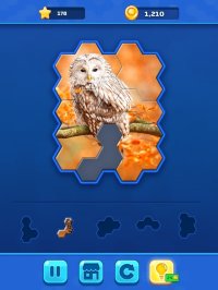 Cкриншот Hexa Jigsaw Challenge, изображение № 2644363 - RAWG