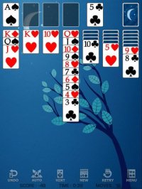 Cкриншот Solitaire Pro!, изображение № 1613768 - RAWG