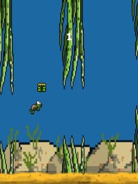 Cкриншот Turtle Swim: Insane Flapping, изображение № 1657594 - RAWG