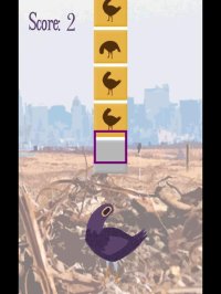 Cкриншот Trash Doves - A Bird Sticker Game, изображение № 2142841 - RAWG