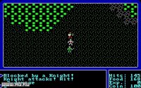 Cкриншот Ultima I: The First Age of Darkness, изображение № 325013 - RAWG