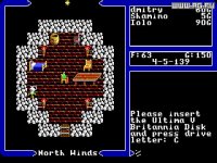 Cкриншот Ultima V: Warriors of Destiny, изображение № 766544 - RAWG