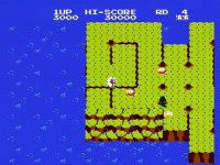 Cкриншот Dig Dug II (1985), изображение № 735378 - RAWG
