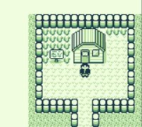 Cкриншот Pokemon Vanilla, изображение № 2512686 - RAWG