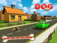 Cкриншот Amazing Dog Simulator: Play super dog life role, изображение № 1780086 - RAWG