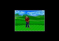 Cкриншот Chi Chi's Pro Challenge Golf, изображение № 758719 - RAWG