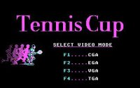 Cкриншот Davis Cup Tennis, изображение № 731520 - RAWG
