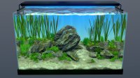 Cкриншот Behind Glass: Aquarium Simulator, изображение № 2983894 - RAWG