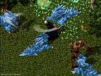 Cкриншот Ultima Online: Age of Shadows, изображение № 347318 - RAWG