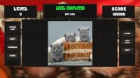 Cкриншот Fitzzle Cute Kittens, изображение № 1323332 - RAWG