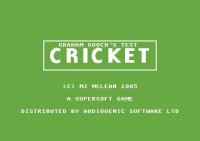 Cкриншот Graham Gooch's All Star Cricket, изображение № 755260 - RAWG