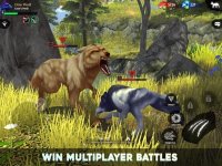 Cкриншот Wolf Tales - Home & Heart, изображение № 2366957 - RAWG