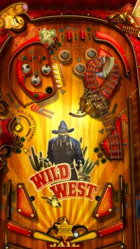 Cкриншот Wild West Pinball, изображение № 9322 - RAWG