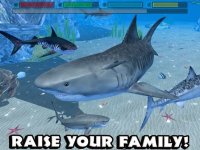 Cкриншот Ultimate Shark Simulator, изображение № 954986 - RAWG