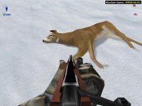 Cкриншот Deer Hunter 5: Tracking Trophies, изображение № 302193 - RAWG