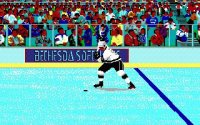 Cкриншот Wayne Gretzky Hockey, изображение № 738610 - RAWG