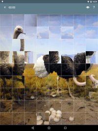 Cкриншот Jigsaw Puzzle: Animals, изображение № 1497941 - RAWG