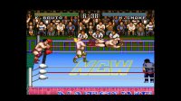 Cкриншот Natsume Championship Wrestling, изображение № 264073 - RAWG