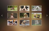 Cкриншот Puppies Jigsaw Puzzles Free Pet Games for Kids, изображение № 1492935 - RAWG