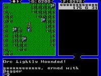 Cкриншот Ultima IV: Quest of the Avatar, изображение № 738476 - RAWG