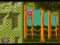 Cкриншот Sonic Mega Collection Plus, изображение № 447140 - RAWG