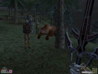 Cкриншот The Elder Scrolls 3: Bloodmoon, изображение № 362006 - RAWG
