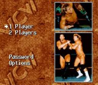 Cкриншот WCW SuperBrawl Wrestling, изображение № 763239 - RAWG