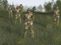 Cкриншот Arma: Armed Assault, изображение № 430657 - RAWG