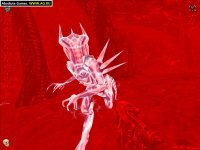 Cкриншот Aliens Versus Predator 2: Primal Hunt, изображение № 316980 - RAWG