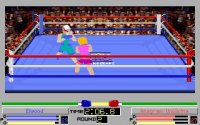 Cкриншот 4D Sports Boxing, изображение № 743515 - RAWG