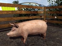 Cкриншот Agricultural Simulator 2011, изображение № 566025 - RAWG