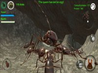 Cкриншот Ant Simulation 3D, изображение № 937445 - RAWG