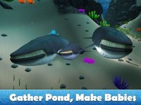 Cкриншот Big Blue Whale Survival 3D - Try whale simulator, be ocean animal!, изображение № 1625836 - RAWG