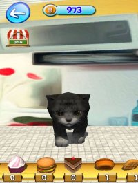 Cкриншот KittyZ, my virtual pet cat, изображение № 1743132 - RAWG