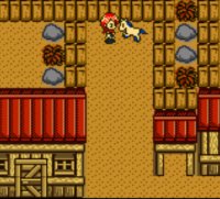 Cкриншот Harvest Moon 2 GBC (1999), изображение № 806567 - RAWG